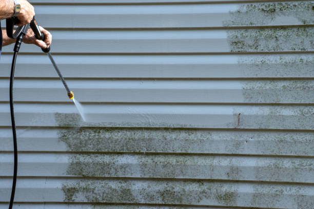 Affordable Siding Repair and Maintenance Services in Canton, PA