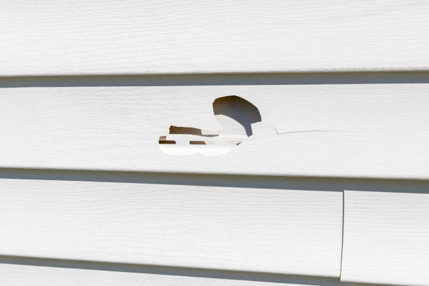 Best Storm Damage Siding Repair  in Canton, PA